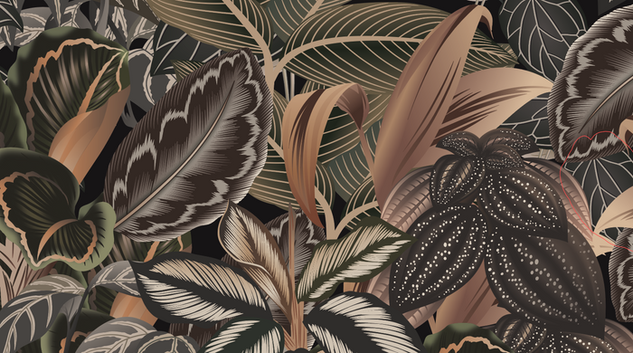Prayer Plant - Custom Sized Wallpaper Mural (per m2)