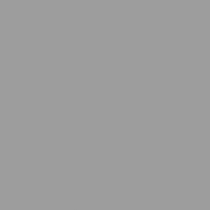 Gray/Metallic/Silver