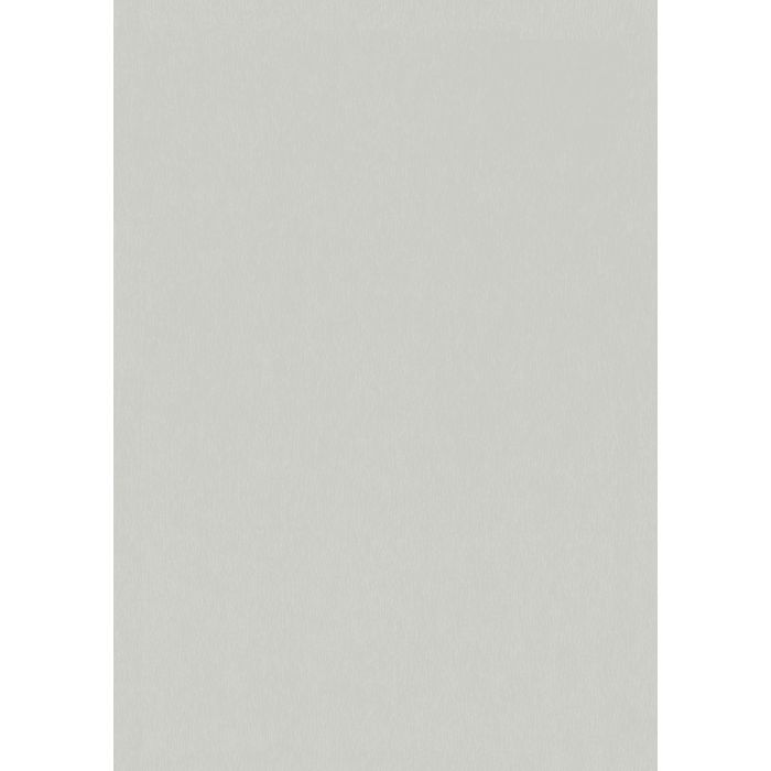 Gray/Silver