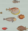 Sample – Acquario Fish Wallpaper – Print Room Blue