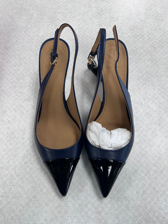 Shoes Designer By Tory Burch In Black & Blue, Size:6