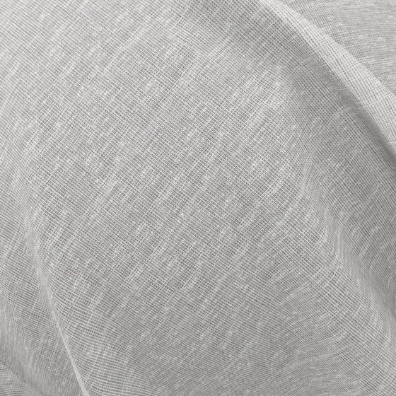 Silver Birch