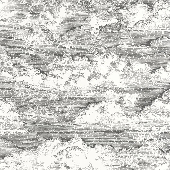 Songe Cloud Wallpaper - Black/White - Discontinuing