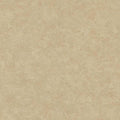 St. Petersberg Coordinates Wallpaper - Beige/Brown