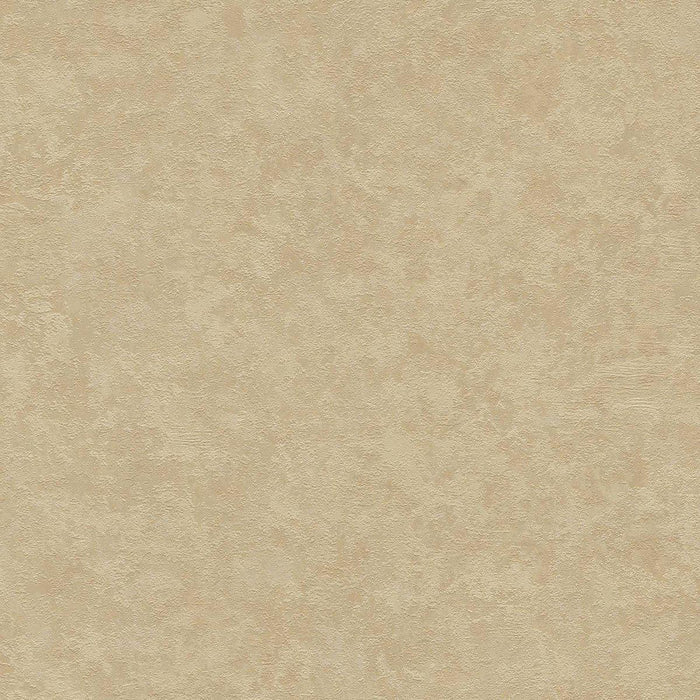 St. Petersberg Coordinates Wallpaper - Beige/Brown