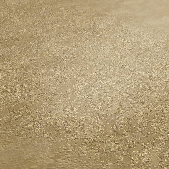 St. Petersberg Coordinates Wallpaper - Beige/Brown