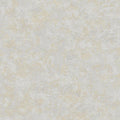 St. Petersberg Coordinates Wallpaper - Beige/Grey