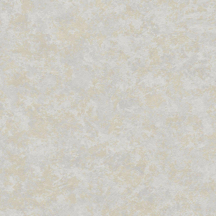St. Petersberg Coordinates Wallpaper - Grey