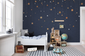 Stargazing Mural - Blue