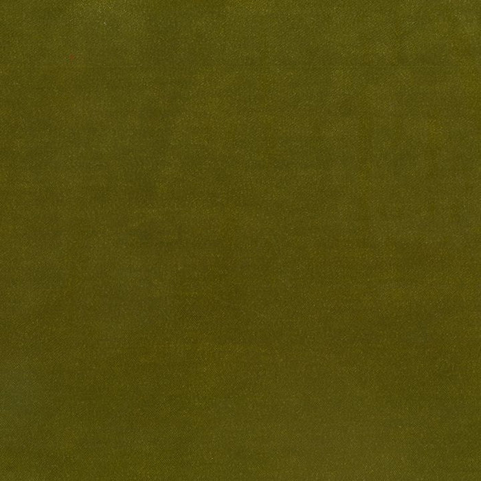 Moss