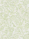 Tiny Tendrils Wallpaper - Green