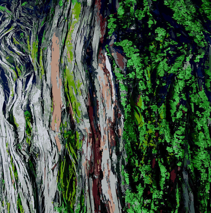 Totara Bark Wallpaper