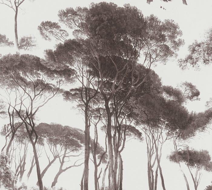 Tree Tops Wallpaper - Black/Brown - Last Roll