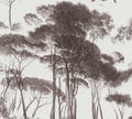 Tree Tops Wallpaper - Black/Brown - Last Roll