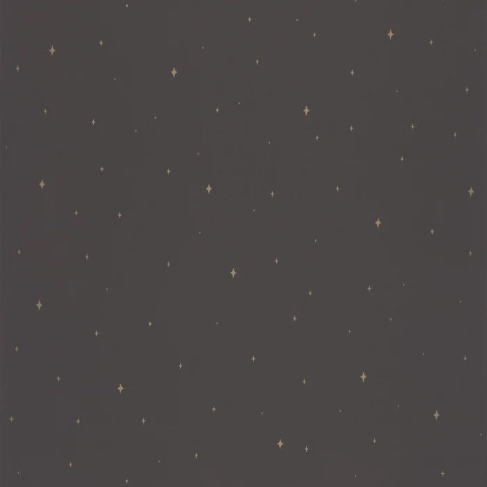 Under The Stars Wallpaper - Noir