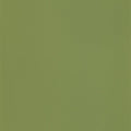 Uni Plain Wallpaper - Crocodile