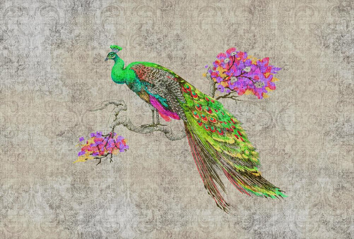 Vivid Peacock - Custom Sized Wallpaper Mural (per m2) - Green/Pink