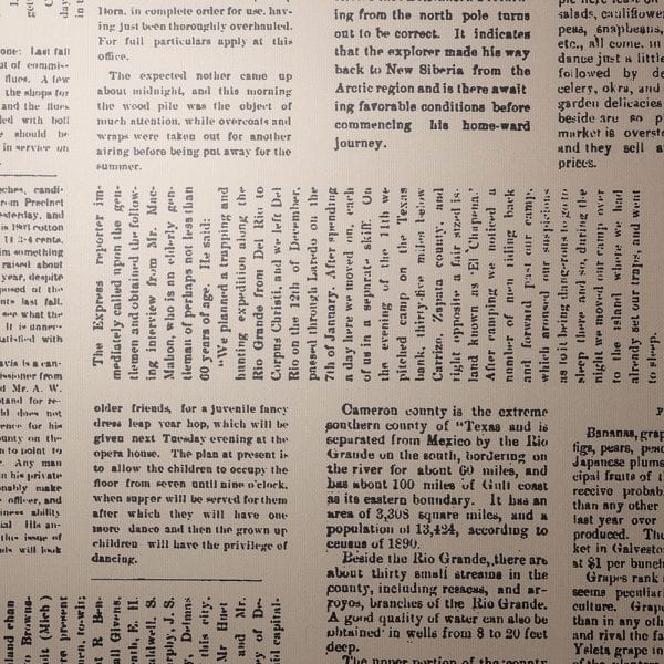 Wall Vinyl Wallaper- Editorial Daily  - 4 colours