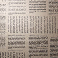 Wall Vinyl Wallaper- Editorial Daily  - 4 colours
