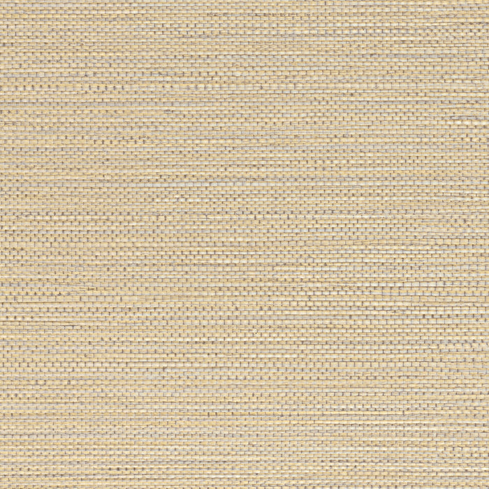 Zostera Seagrass Wallpaper - Almond