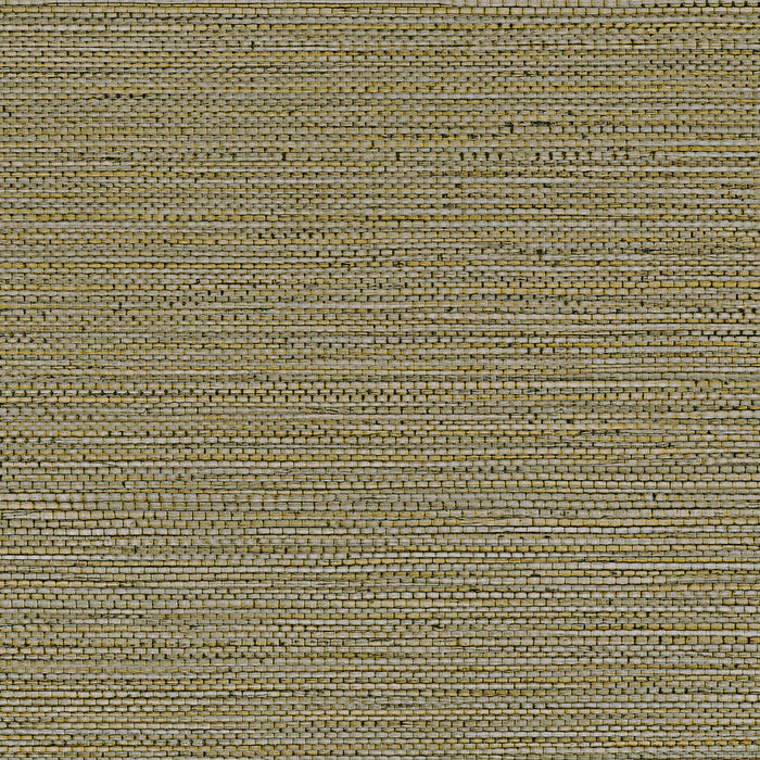 Zostera Seagrass Wallpaper - Army