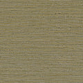 Zostera Seagrass Wallpaper - Army