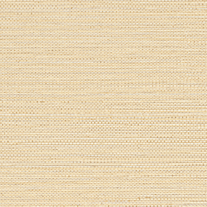 Zostera Seagrass Wallpaper - Bisque