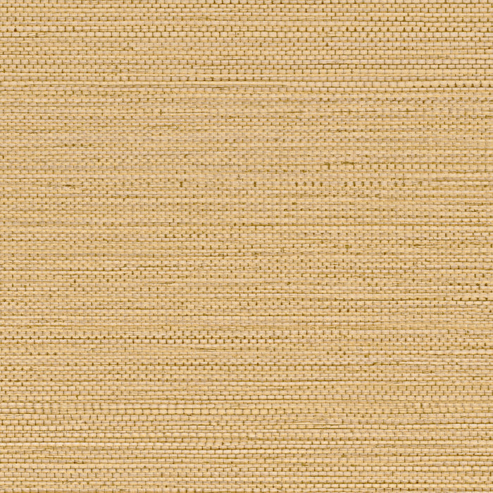 Zostera Seagrass Wallpaper - Buff