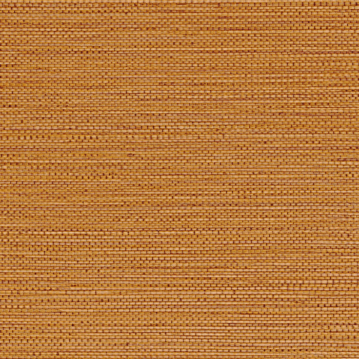 Zostera Seagrass Wallpaper - Tangerine